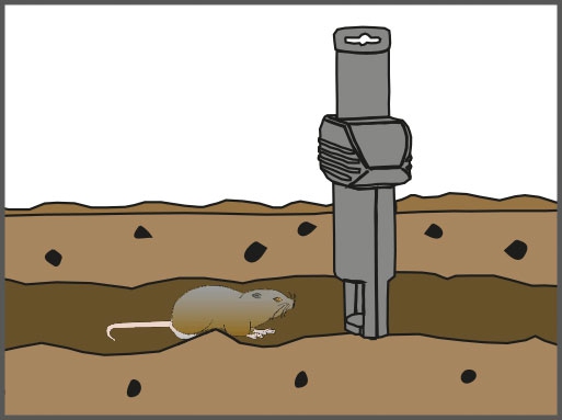 Swiss Inno Super Cat Pasca na hraboše