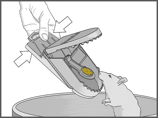 Swiss Inno Super Cat Pasca na potkany