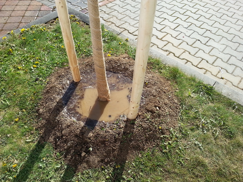 Oporný kôl s hrotom priemer  5cm - výška 250cm