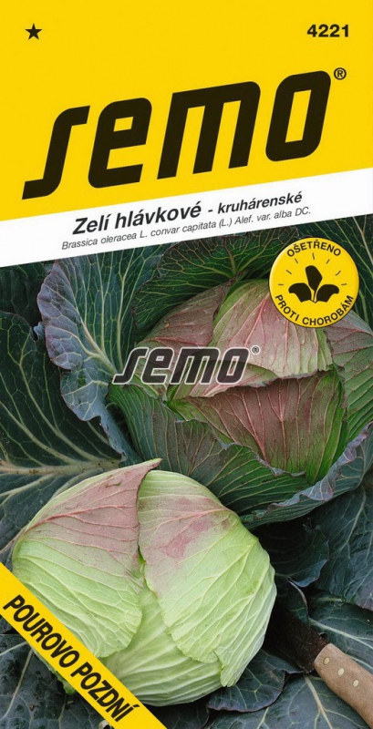Semo Kapusta hlávková ´Pourovo Pozdní´