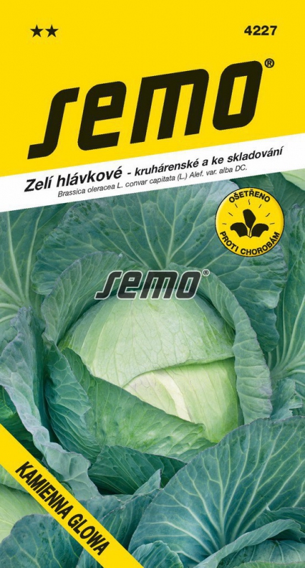 Semo Kapusta hlávková ´Kamienna Glowa´