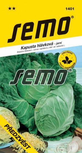 Semo Kel hlavkový ´Predzvesť´