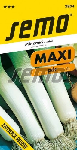 Semo Pór pravý ´Zwitserse Reuzen´