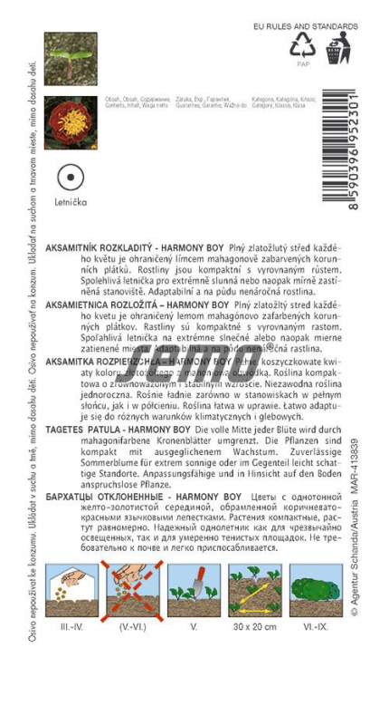 Semo Aksamietnica rozložitá ´Harmony Boy´