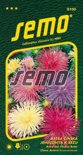 Semo  Astra čínska ´Electric Zmes´