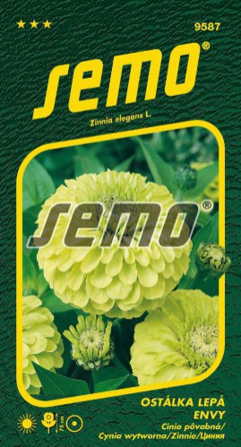 Semo Cínia ´Envy´