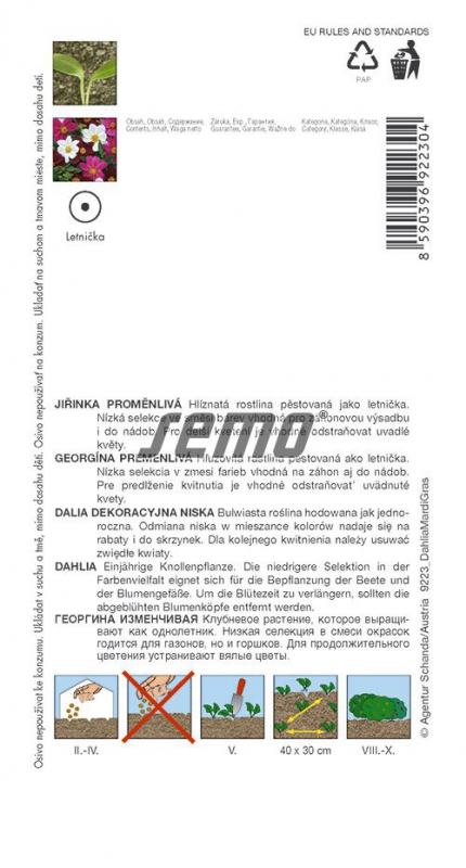 Semo Georgína nízka ´Mardi Gras´