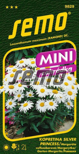 Semo Margarétka ´Silver Princess´