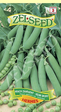 Zelseed Hrach siaty pravý ´Hermes´