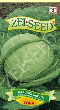 Zelseed Kapusta hlávková ´Zora´