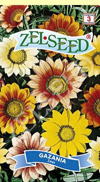 Zelseed Gazánia ´Zmes´