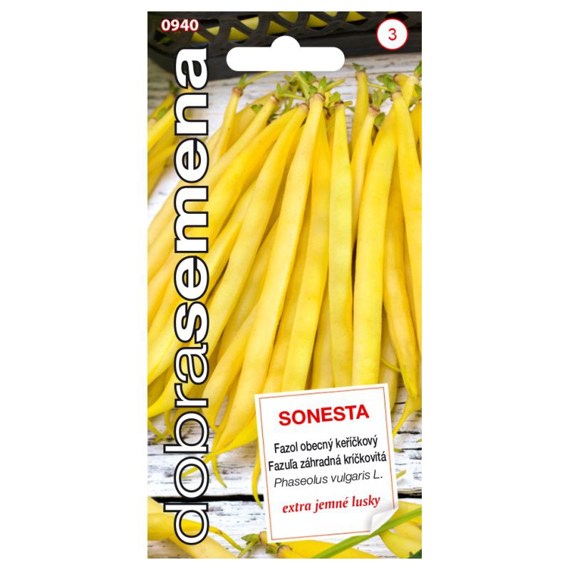 Dobrá semena Fazuľa záhradná kríčkovitá ´Sonesta´