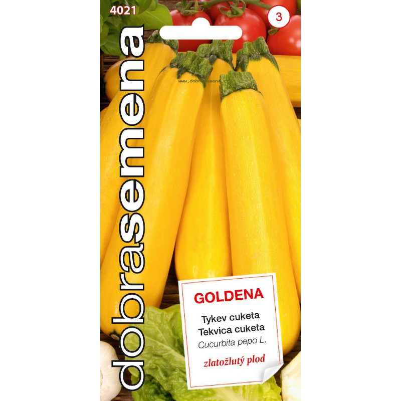 Dobrá semena Tekvica cuketa  ´Goldena´