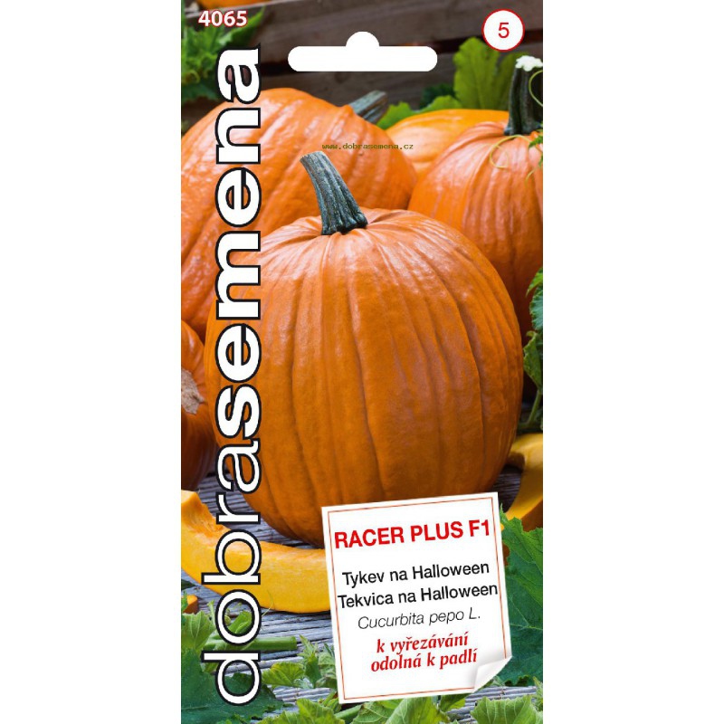 Dobrá semena Tekvica veľkoplodá ´Racer Plus F1´