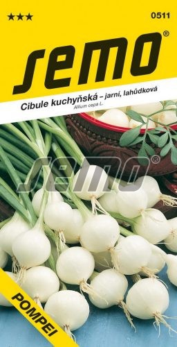 Semo Cibuľa kuchynská jarná  ´Pompei´