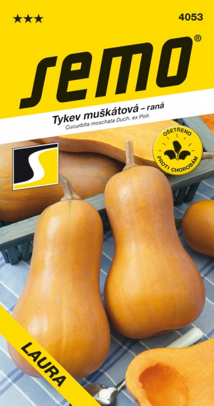 Semo Tekvica muškátová ´Laura´