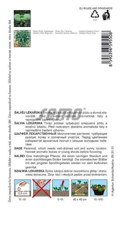 Semo Šalvia lekárska