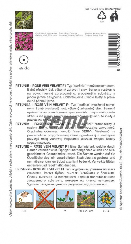 Semo Petúnia ´Rose Vein Velvet F1´