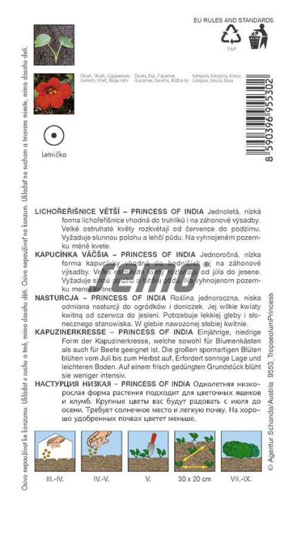 Semo Kapucínka väčšia ´Princess of India´