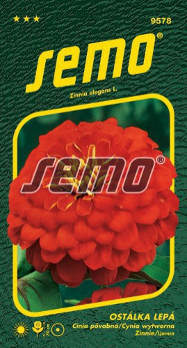 Semo Cínia ´Cherry Queen´