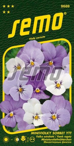 Semo Fialka ostrohatá ´Sorbet Ytt´