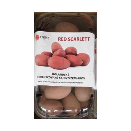 Sadbové zemiaky ´Red Scarlett´ vanička cca 1kg