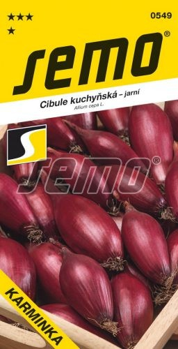 Semo Cibuľa kuchynská jarná  ´Karminka´