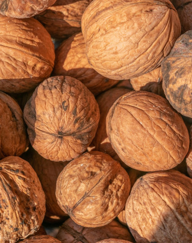 Orech ´Fernor´, kont. 5l