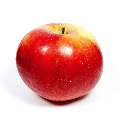 Jabloň ´Idared´ zimná, podp. A2, kont. 5l