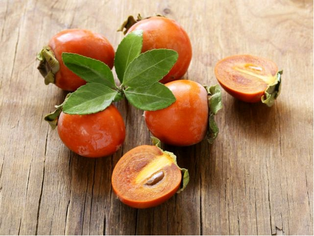 Hurmikaki ´Tipo´ na kmienku 9l