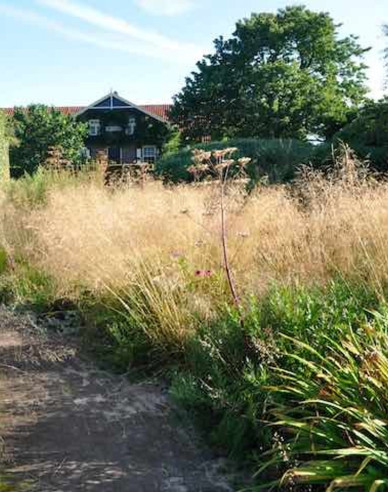 Metlica ’Goldtau’ 9x9