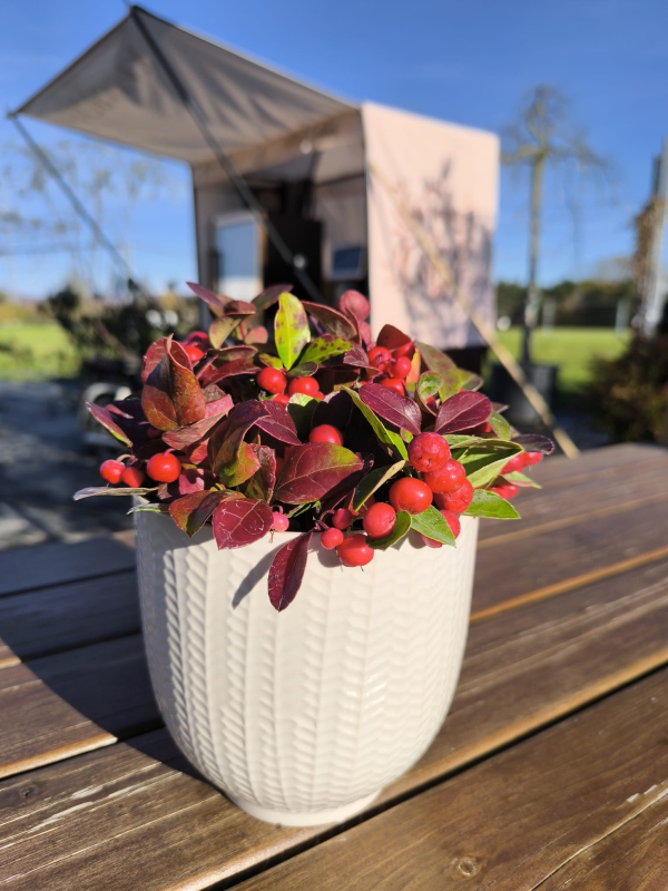 Obal na kvetináč keramický biely s leskom