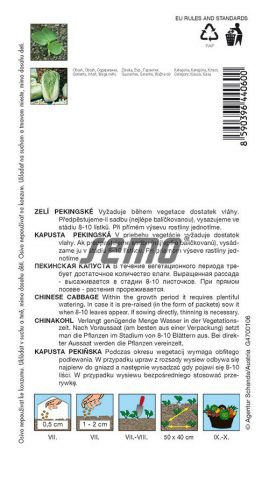 Semo Kapusta pekinská ´Concord F1´