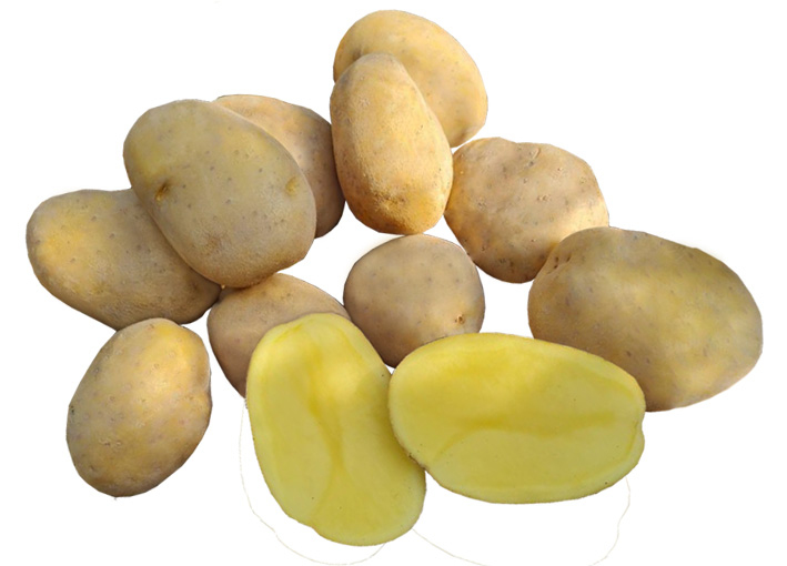 Sadbové zemiaky ´Wendy´ 5kg