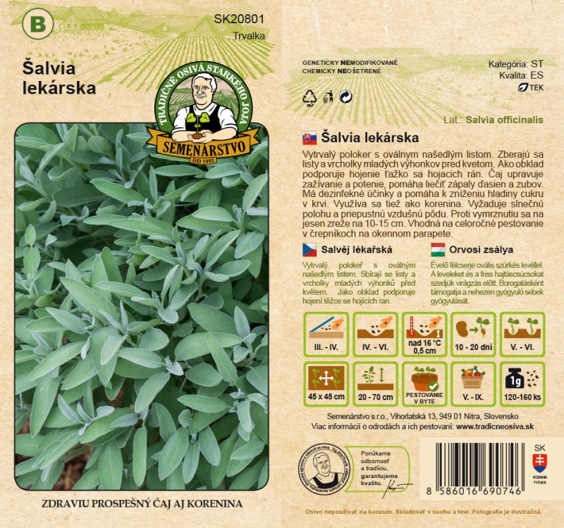 Semenárstvo Šalvia lekárska