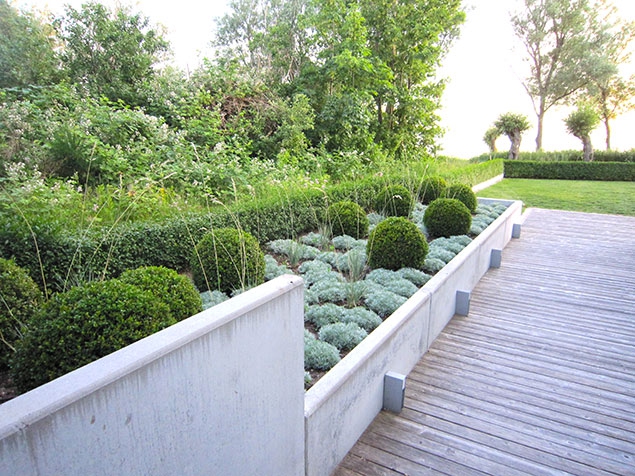 Palina schmidtova ’Nana’