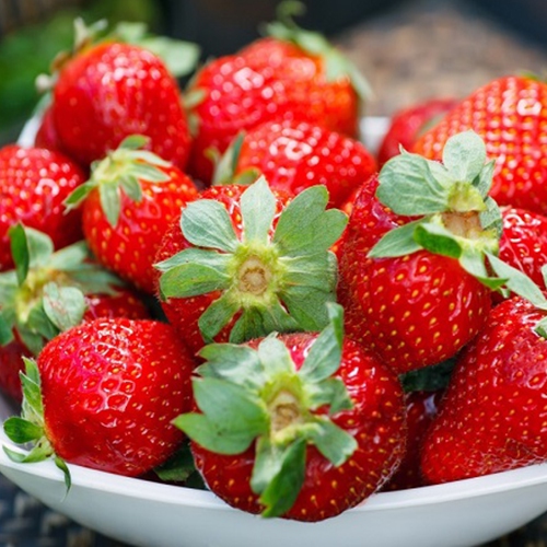 Jahoda ´Diamant´ stálorodiaca odroda