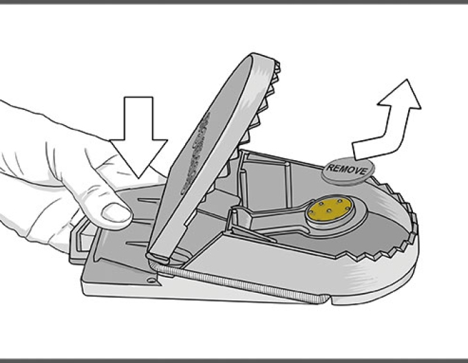 Swiss Inno Super Cat Pasca na potkany