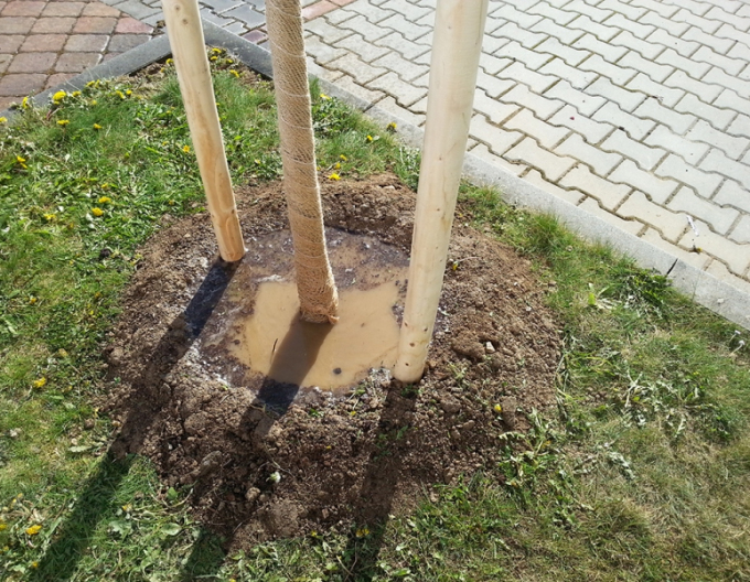 Oporný kôl s hrotom priemer  5cm - výška 250cm