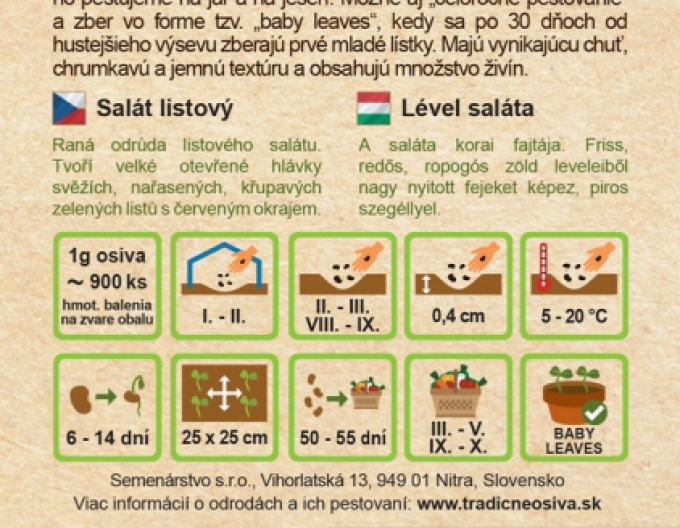 Semenárstvo šalát siaty listový ´Biscia Rossa´