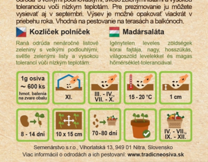 Semenárstvo Valeriánka poľná ´Grote Noordholladse´