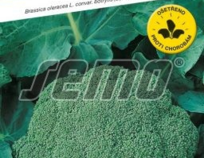 Semo Brokolica ´Steel F1´