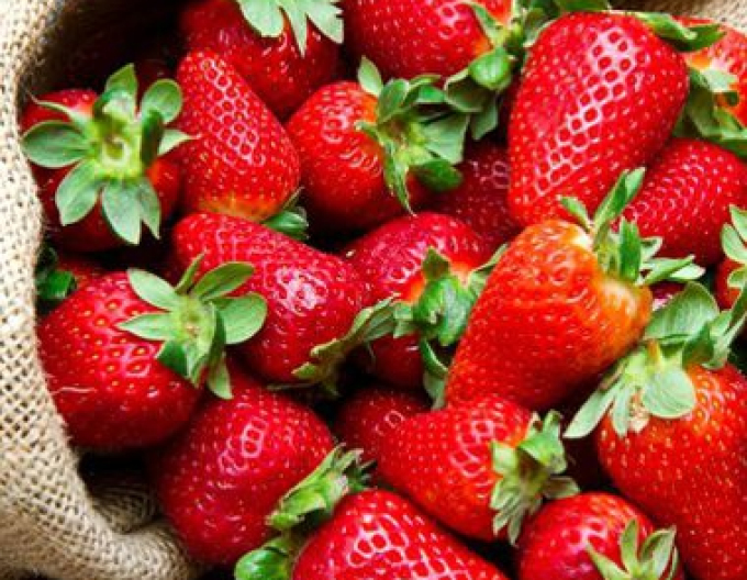 Jahoda "Daroyal" skorá