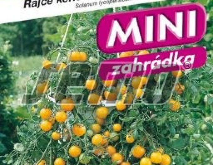 Semo Rajčiak Kríčkový ´Tumbling Tom YELLOW´