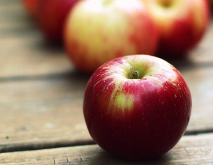 Jabloň "Gala" zimná, podp. M26, voľnok.