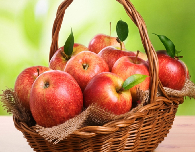 Jabloň "Jonagold" zimná, podpn. M9, voľnok.