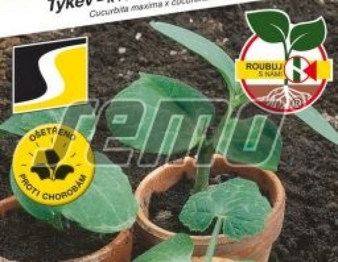 Semo Tekvica na vrúbľovanie ´Bolt F1´