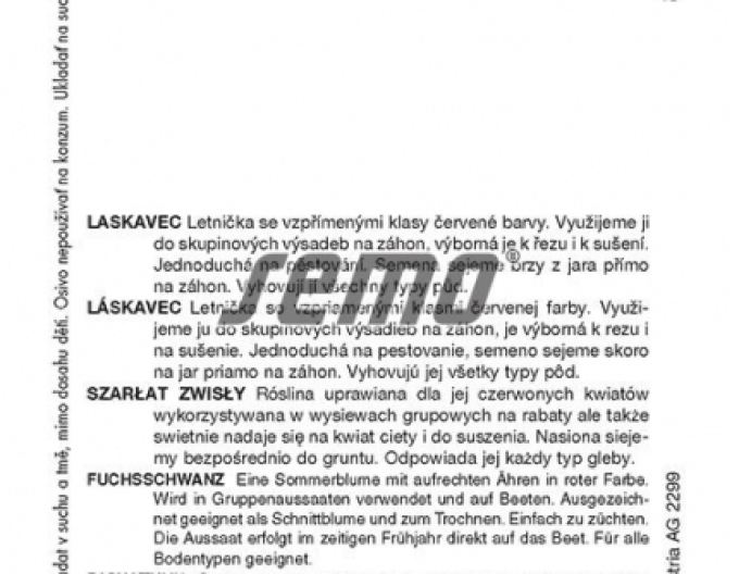 Semo Láskavec ´Pygmy Torch´