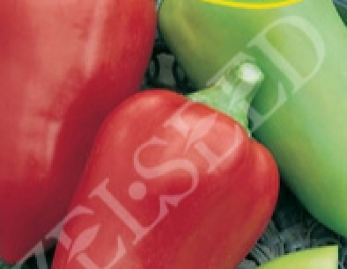 Zelseed Paprika ročná ´Polanova´