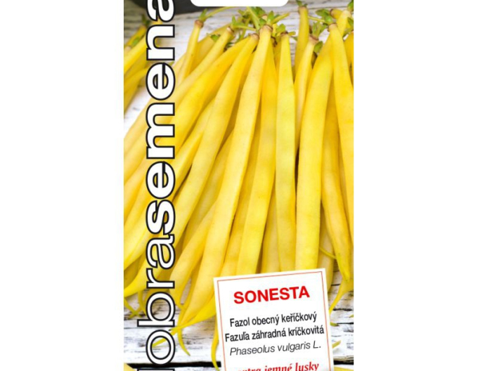 Dobrá semena Fazuľa záhradná kríčkovitá ´Sonesta´